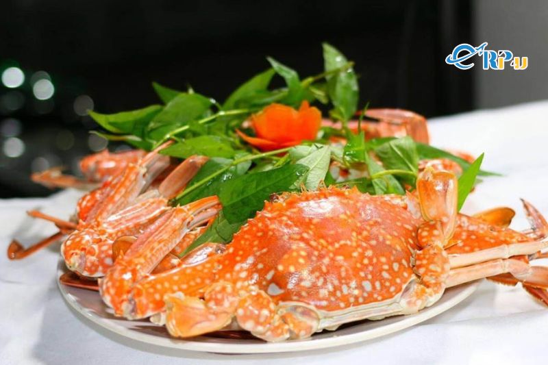 M&oacute;n ngon Ph&uacute; Quốc kh&ocirc;ng thể bỏ qua