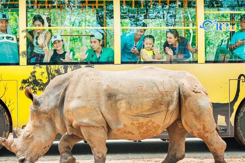 Nhốt người nhả th&uacute; ở Vinpearl Safari Ph&uacute; Quốc