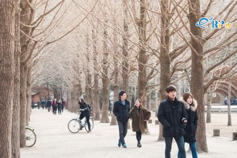 Mặc g&igrave; khi đi tour Đ&agrave;i Loan v&agrave;o m&ugrave;a Đ&ocirc;ng