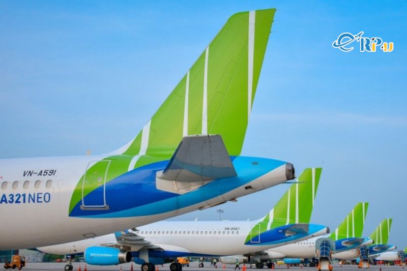 Tần suất chặng bay H&agrave; Nội - Ph&uacute; Quốc của Bamboo Airways&nbsp;