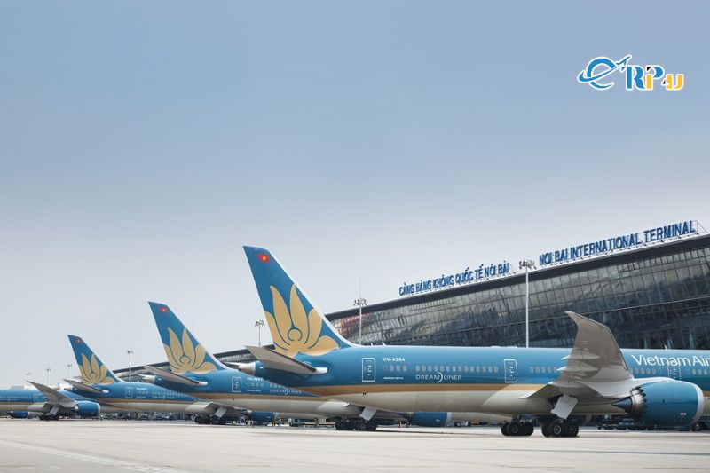 Tần suất chuyến bay Cần Thơ - Đ&agrave; Lạt Vietnam Airlines