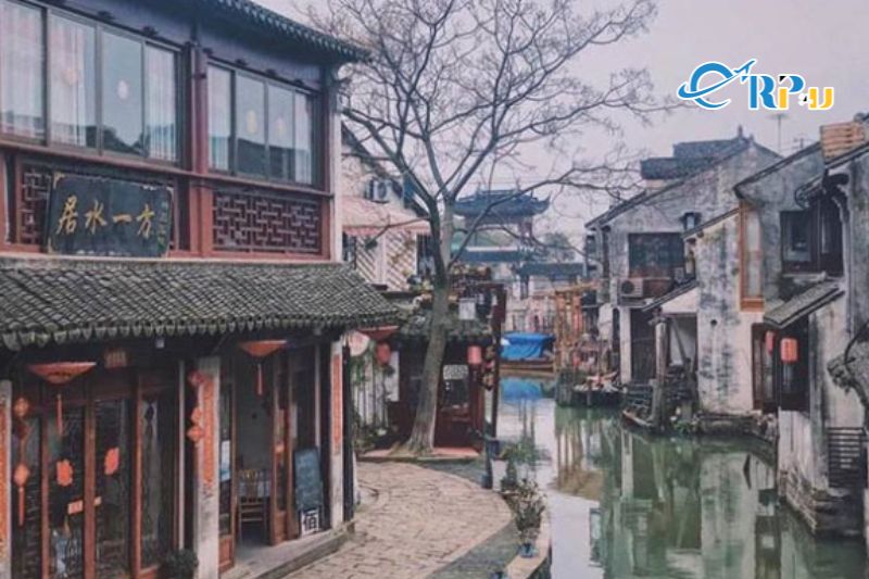 Thẩm Gia Trang, Trương Gia Trang&nbsp;