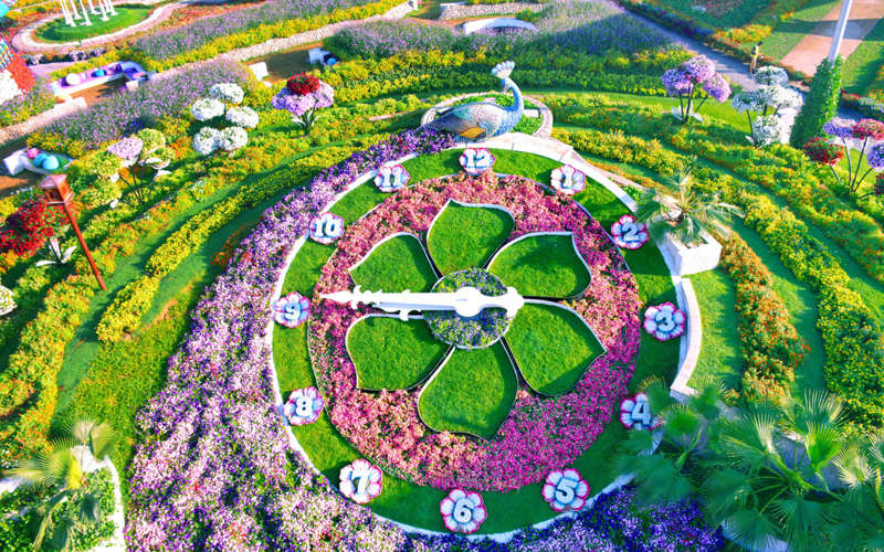 Vườn hoa Dubai Miracle Garden Vườn hoa Dubai Miracle Garden