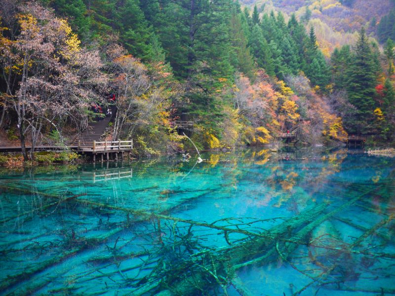 Cửu Trại Câu Cửu Trại Câu