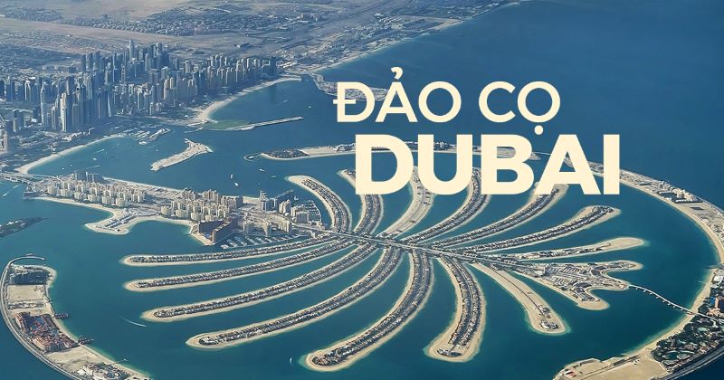 Quần đảo Cây cọ Quần đảo Cây cọ