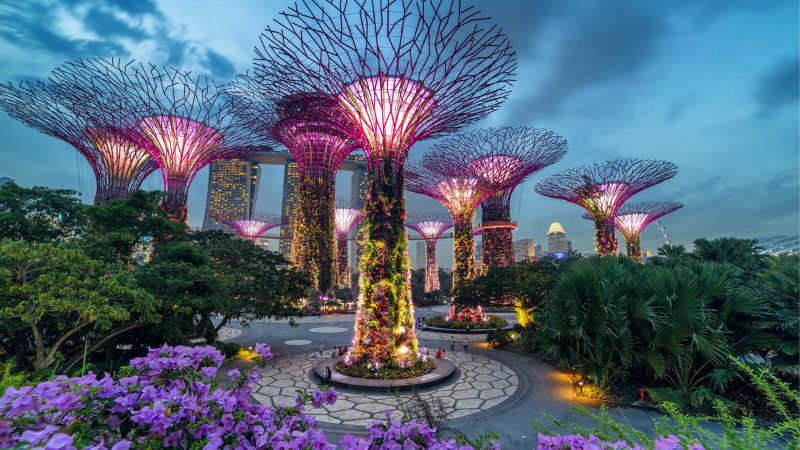 Gardens by the Bay Gardens by the Bay