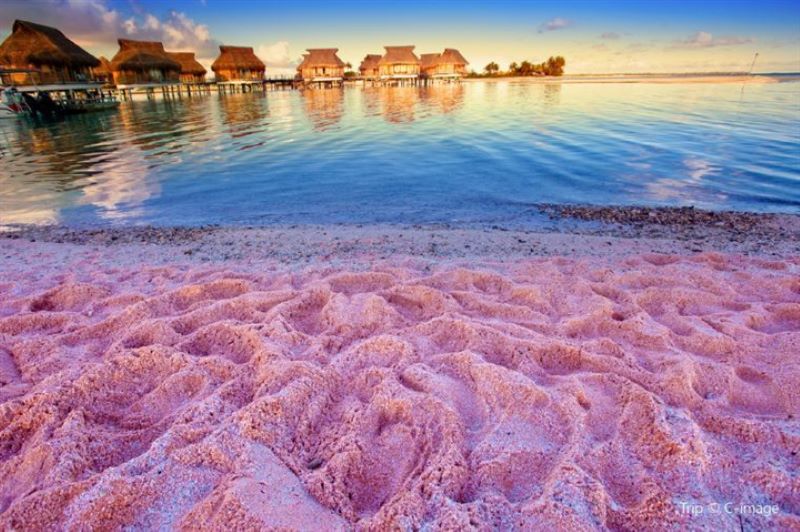 Bãi biển Hồng (Pink Beach) Bãi biển Hồng (Pink Beach)