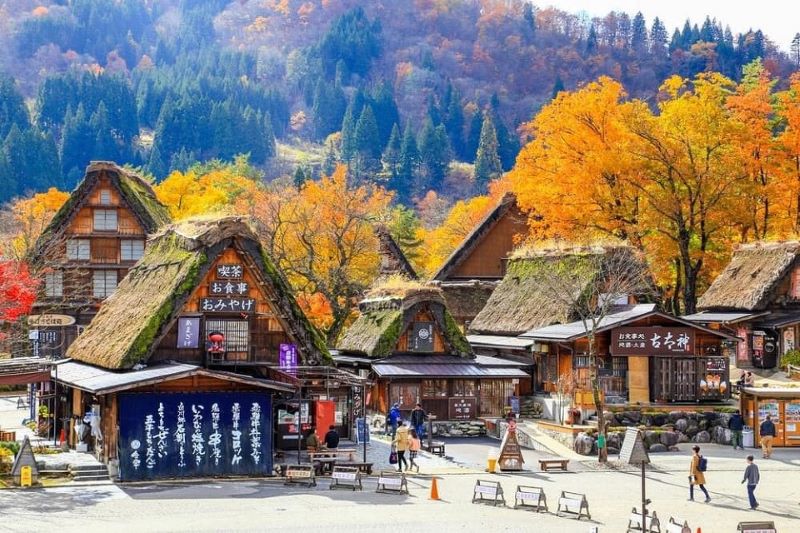 Làng Cổ Shirakawago Làng Cổ Shirakawago