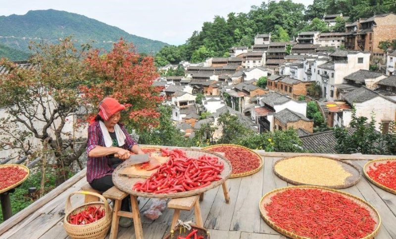 L&agrave;ng cổ Vụ Nguy&ecirc;n - N&eacute;t đẹp b&igrave;nh dị, thơ mộng xứ Trung