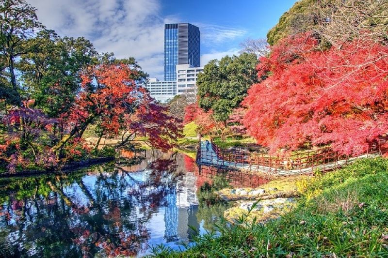 Tokyo sở hữu vẻ đẹp đặc biệt Tokyo sở hữu vẻ đẹp đặc biệt