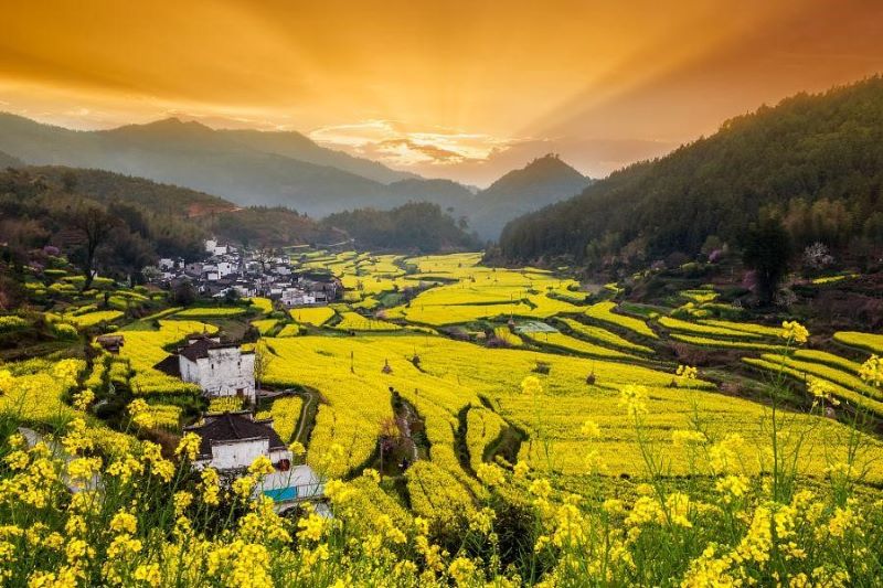 L&agrave;ng cổ Vụ Nguy&ecirc;n c&oacute; lịch sử hơn 1.300 năm