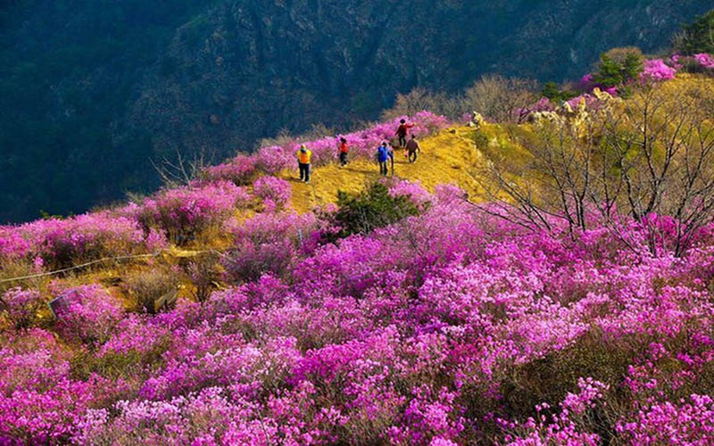 Du lịch Bhutan mùa nào đẹp? Du lịch Bhutan mùa nào đẹp?