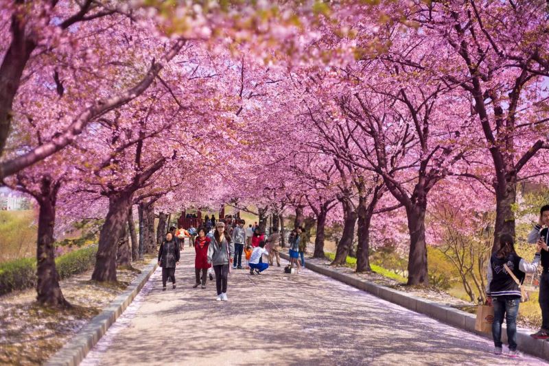 Những điều thú vị về Nghi Lương ít người biết đến Những điều thú vị về Nghi Lương ít người biết đến
