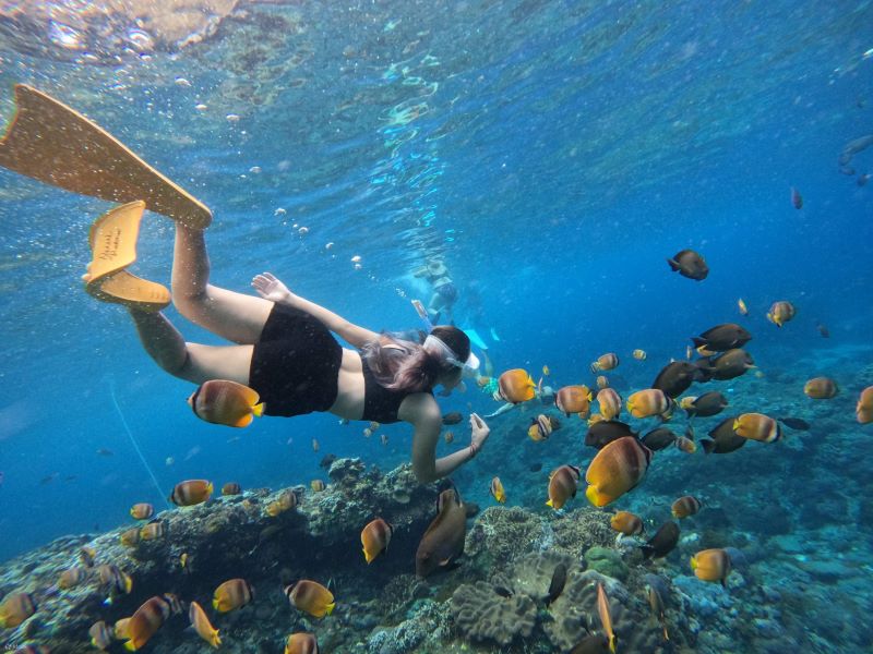 Lặn biển tại&nbsp;Nusa Penida