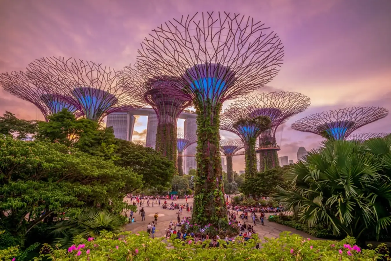 Vườn bách thảo vịnh Marina - Gardens by the Bay Vườn bách thảo vịnh Marina - Gardens by the Bay