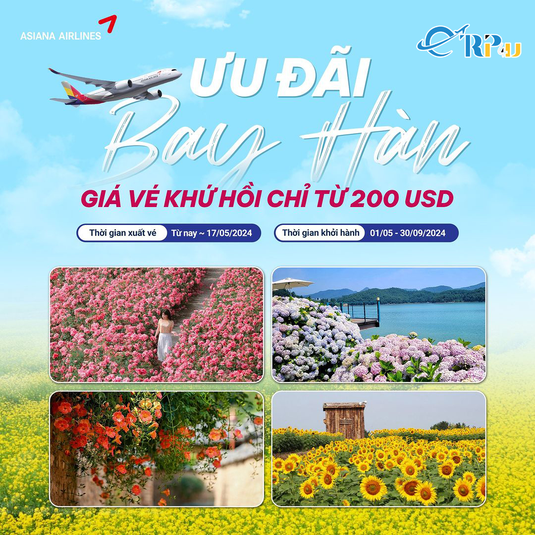 Asiana Airlines: Bay khứ hồi Hà Nội - Hàn Quốc giá chỉ từ 200 USD Asiana Airlines: Bay khứ hồi Hà Nội - Hàn Quốc giá chỉ từ 200 USD