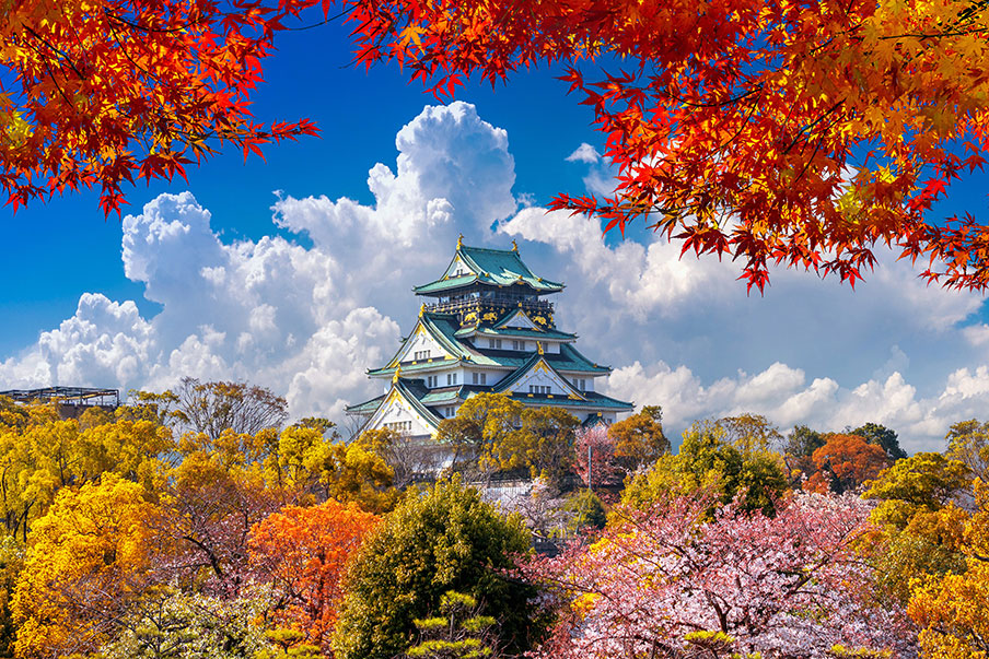 Mùa đẹp nhất để du lịch Osaka Mùa đẹp nhất để du lịch Osaka