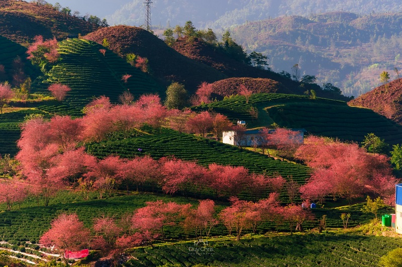 Sapa mỗi mùa một vẻ đẹp riêng Sapa mỗi mùa một vẻ đẹp riêng