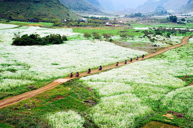 Những lưu &yacute; khi du lịch Mộc Ch&acirc;u