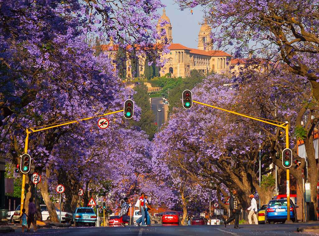 Những lưu &yacute; khi du lịch Pretoria
