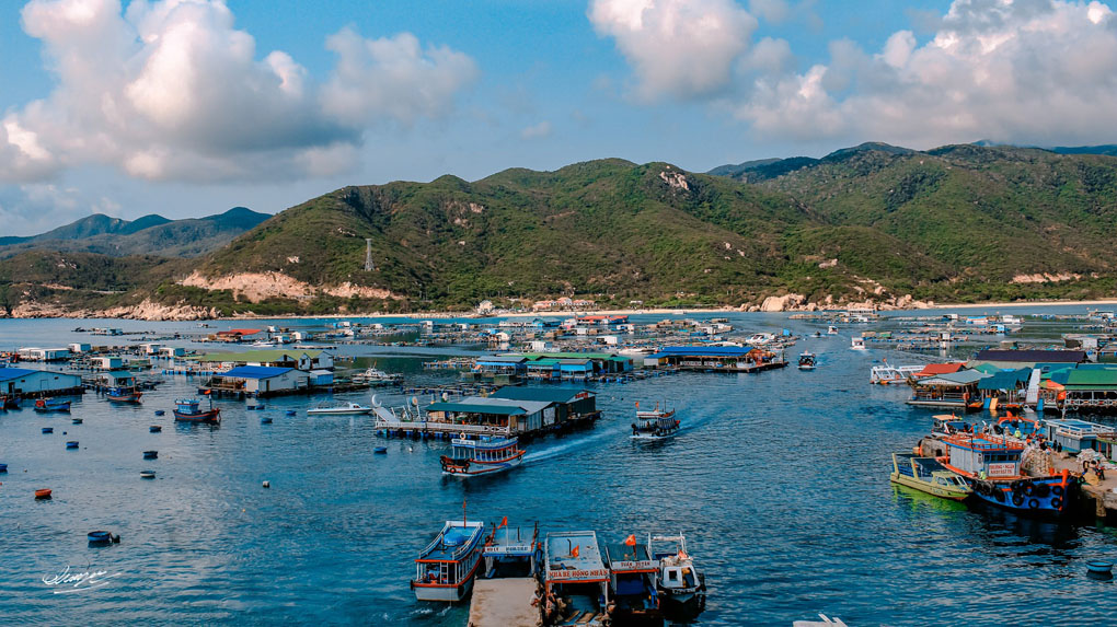 Nên du lịch Bình Hưng mùa nào? Nên du lịch Bình Hưng mùa nào?