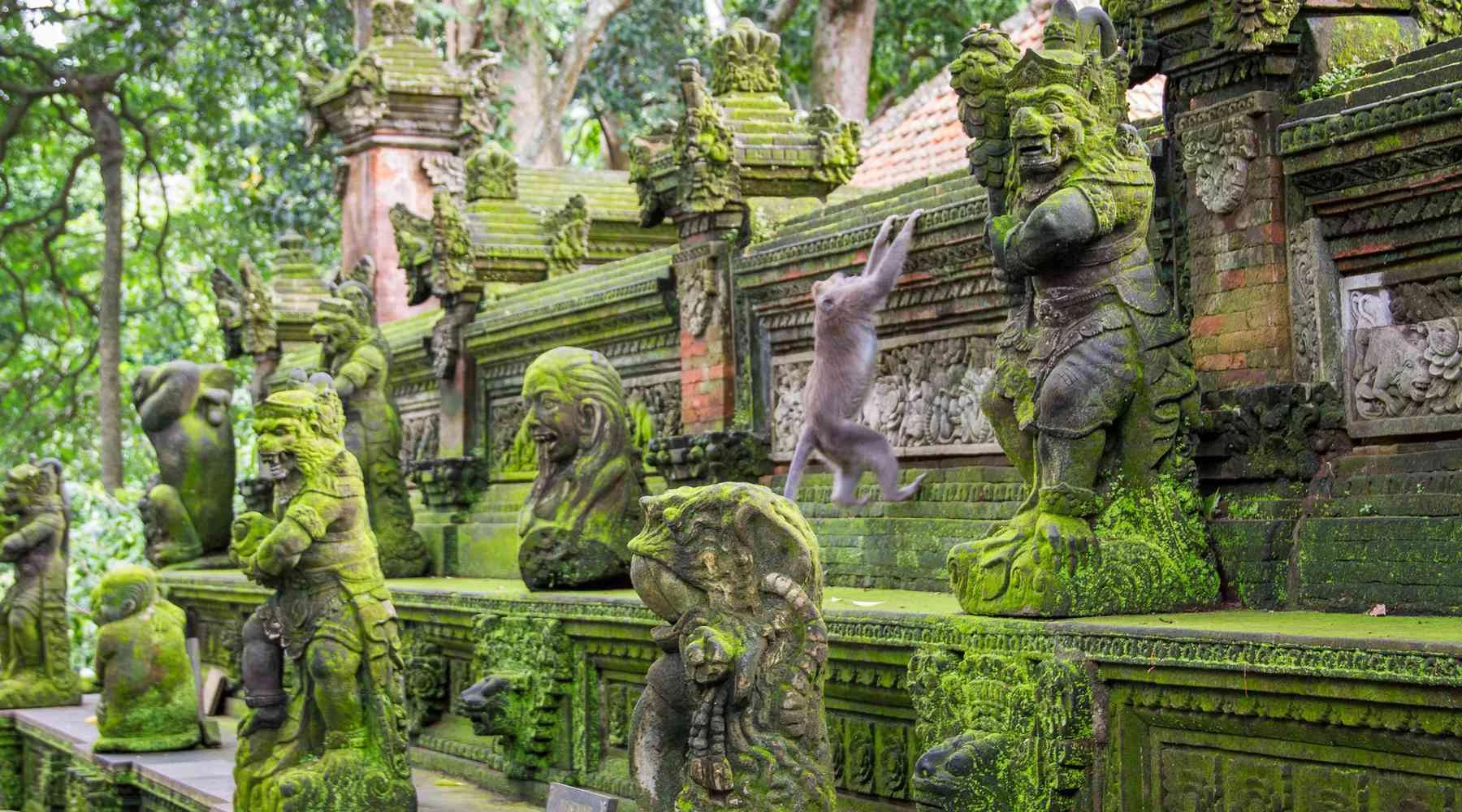 Rừng khỉ Ubud (Bali)