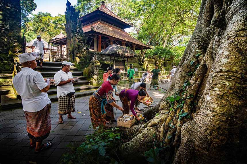 L&agrave;m g&igrave; khi đến Rừng Khỉ Ubud?
