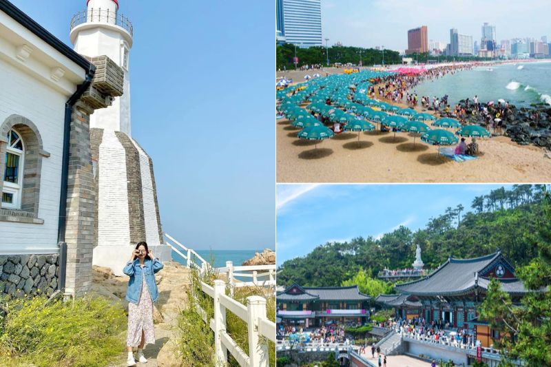 Ăn g&igrave; khi đi du lịch Busan