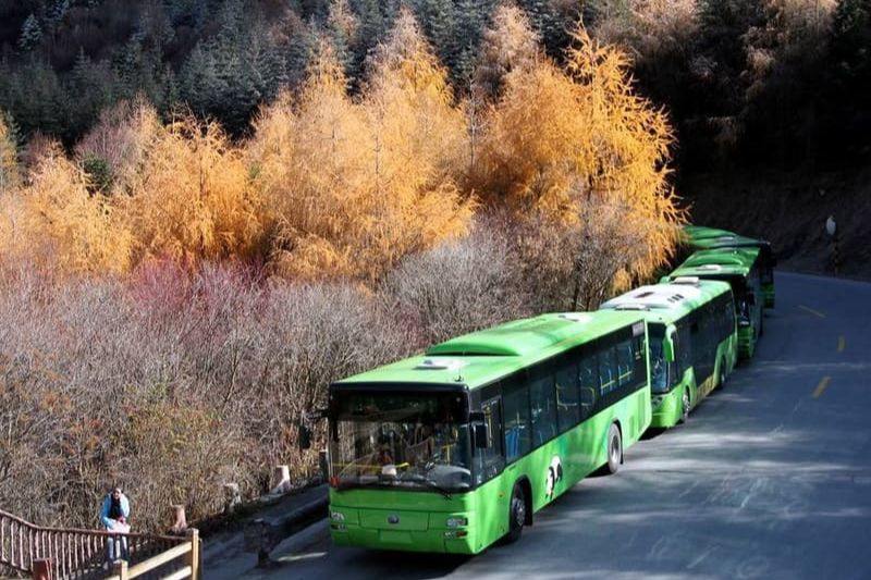 Phương tiện di chuyển tại tour Cửu Trại C&acirc;u