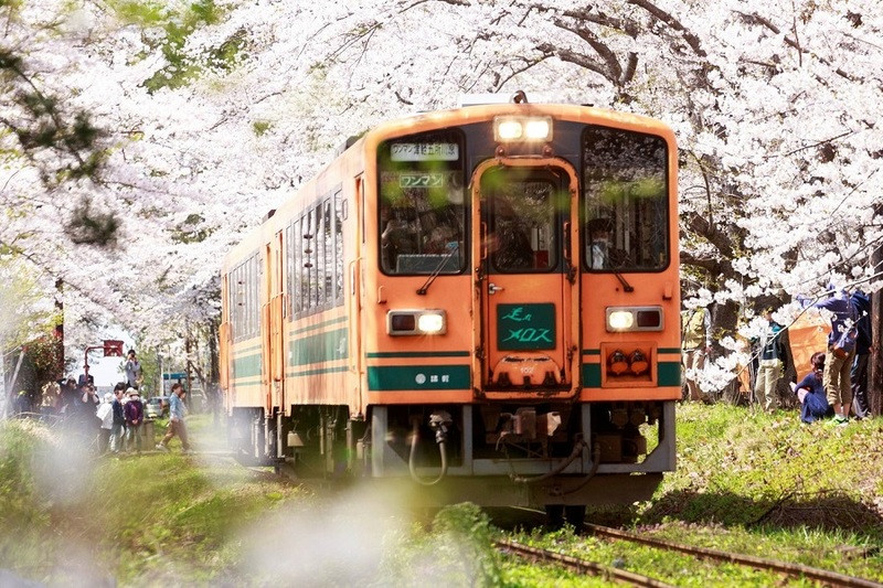 Phương tiện di chuyển tại Hokkaido Phương tiện di chuyển tại Hokkaido