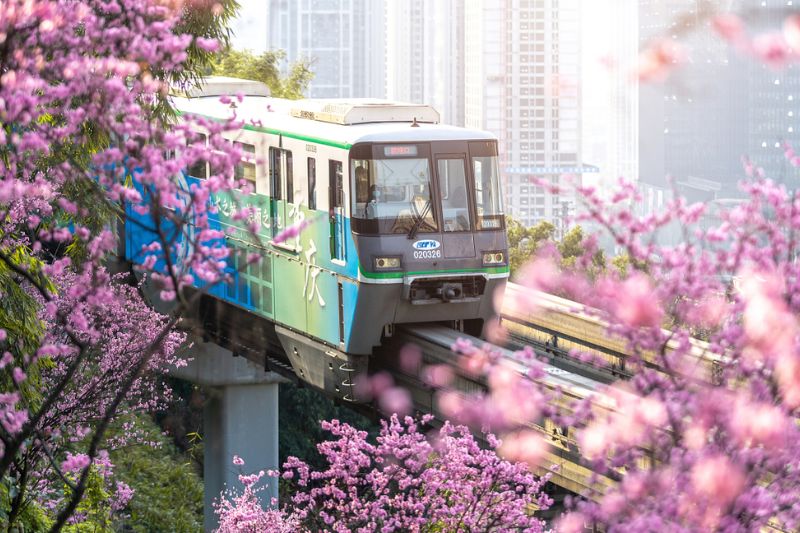 Phương tiện di chuyển tại Tr&ugrave;ng Kh&aacute;nh