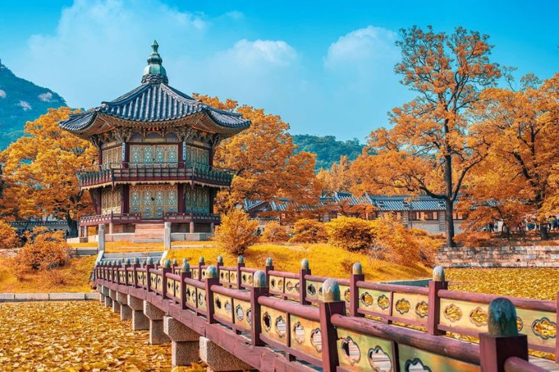 N&ecirc;n đi du lịch H&agrave;n Quốc v&agrave;o thời điểm n&agrave;o