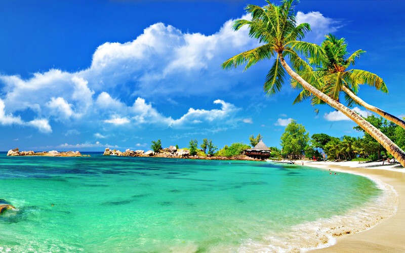 Đặt tour tại Vnbuy để có hành trình du lịch trọn vẹn Đặt tour tại Vnbuy để có hành trình du lịch trọn vẹn