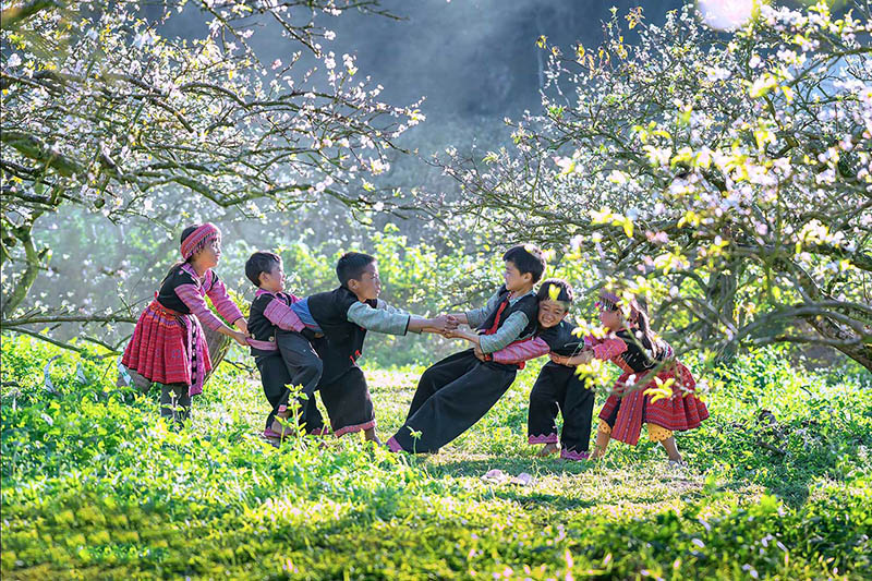 Vẻ đẹp của Cao Nguy&ecirc;n Mộc Ch&acirc;u