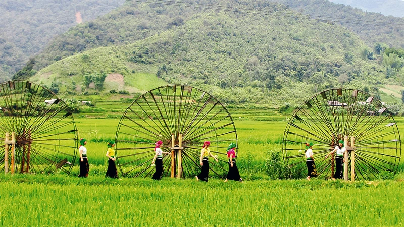 Ruộng bậc thang tầng tầng lớp lớp giữa n&uacute;i rừng Sơn La