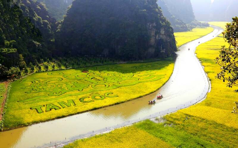 Chi&ecirc;m ngưỡng m&ugrave;a l&uacute;a ch&iacute;n Ninh B&igrave;nh khi v&agrave;o h&egrave;