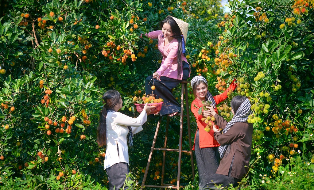 Bỏ t&uacute;i những lưu &yacute; khi du lịch miền T&acirc;y