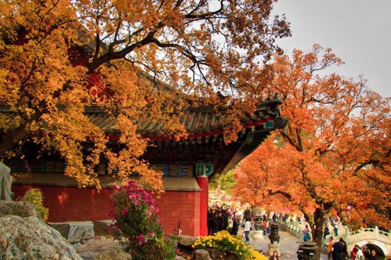 Tour Bắc Kinh Mono mùa thu Tour Bắc Kinh Mono mùa thu