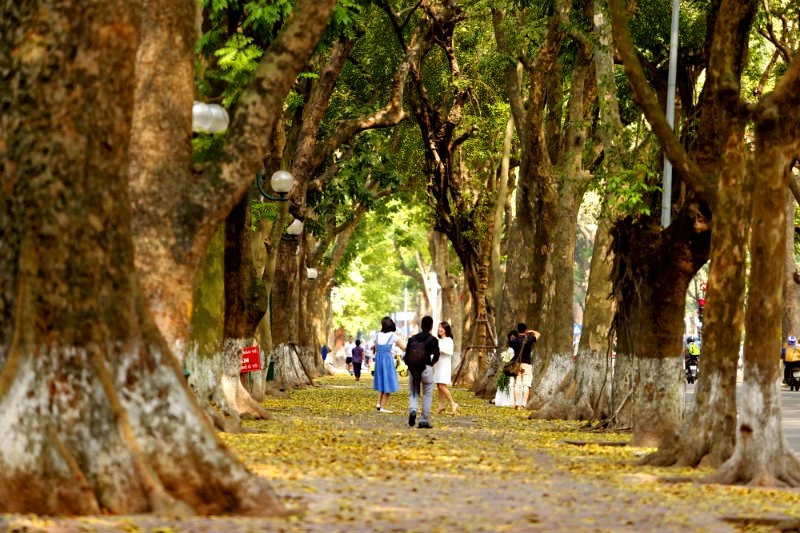 Những ng&agrave;y cuối th&aacute;ng 10, H&agrave; Nội mới "thực sự" v&agrave;o thu