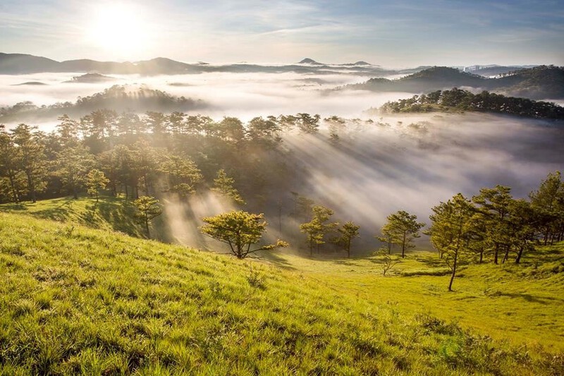 Những đồi cỏ trải d&agrave;i tr&ecirc;n mảnh đất T&acirc;y Nguy&ecirc;n