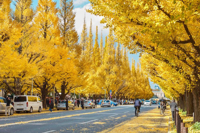 Thời tiết Tokyo m&ugrave;a thu c&oacute; g&igrave; đặc biệt?