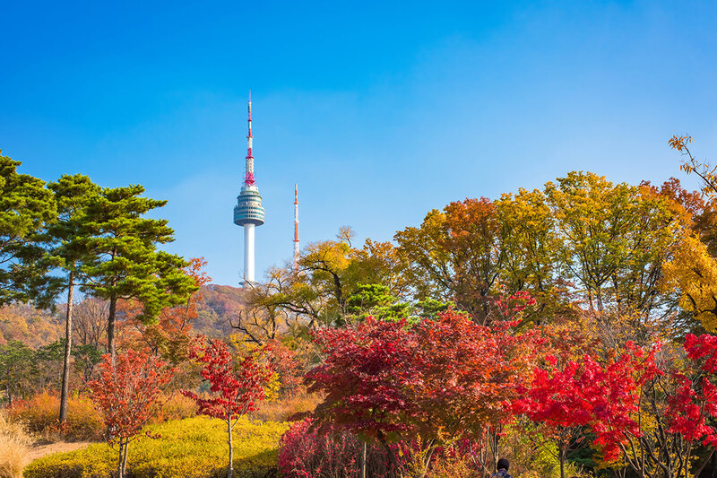 Vẻ đẹp của Seoul khi mùa thu đến Vẻ đẹp của Seoul khi mùa thu đến