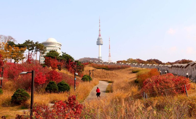 Đường lên Núi Namsan phủ kín lá vàng Đường lên Núi Namsan phủ kín lá vàng