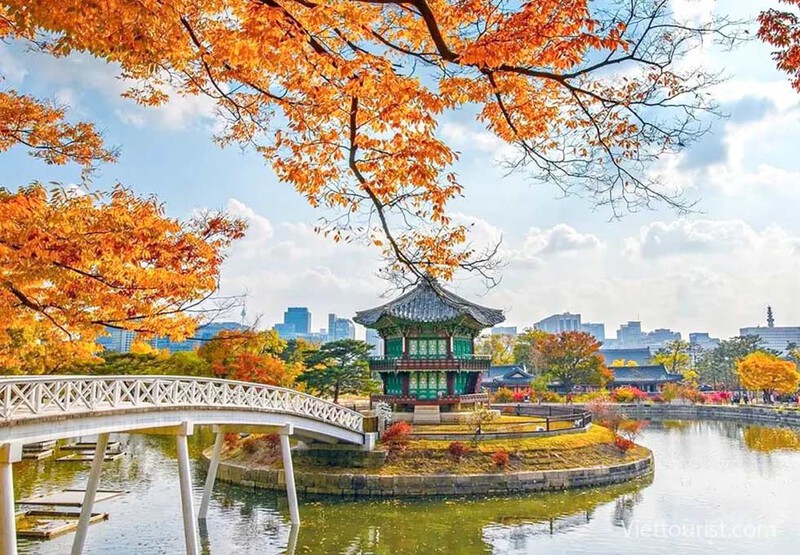 Cung điện Gyeongbokgung trong chiếc áo mùa thu Cung điện Gyeongbokgung trong chiếc áo mùa thu
