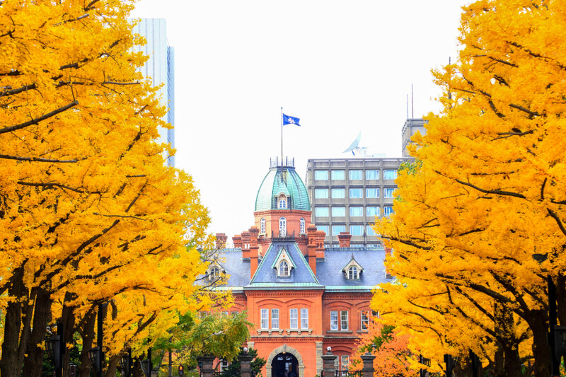 Những ng&agrave;y m&ugrave;a thu m&aacute;t mẻ, dễ chịu tại Hokkaido