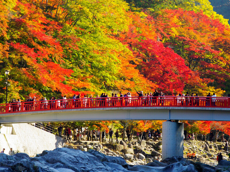 Thủ đô Tokyo hiện đại nhưng đầy thơ mộng Thủ đô Tokyo hiện đại nhưng đầy thơ mộng
