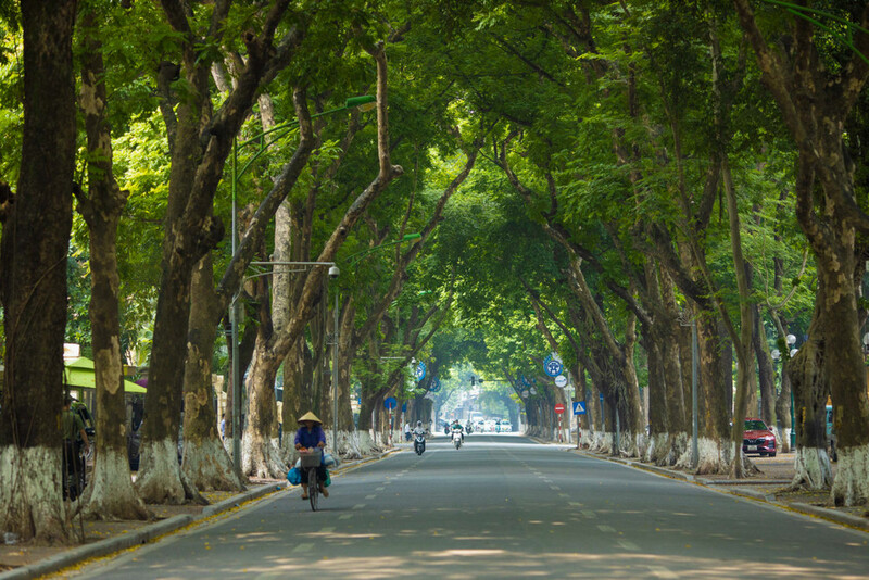 Đường Phan Đ&igrave;nh Ph&ugrave;ng