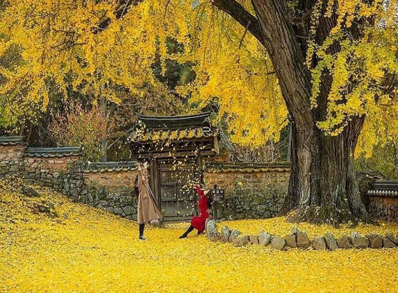 Pháo đài Geumjeong mùa thu Pháo đài Geumjeong mùa thu