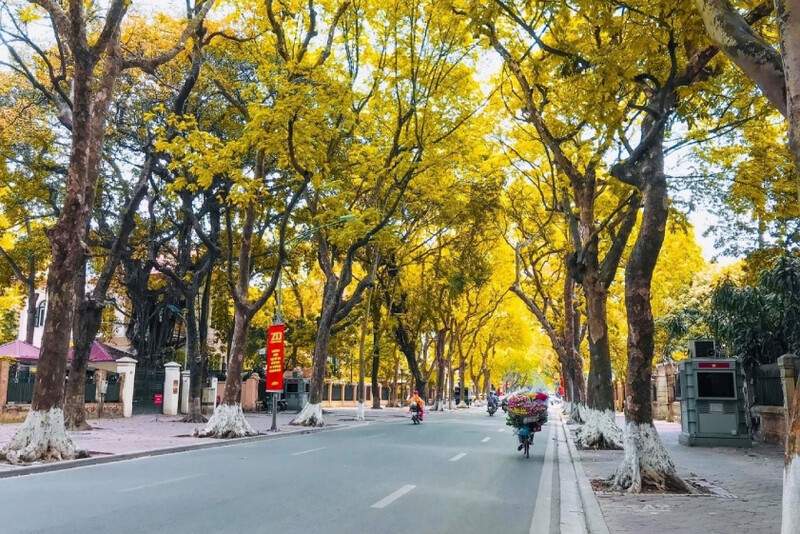 Thời tiết mùa thu Thời tiết mùa thu