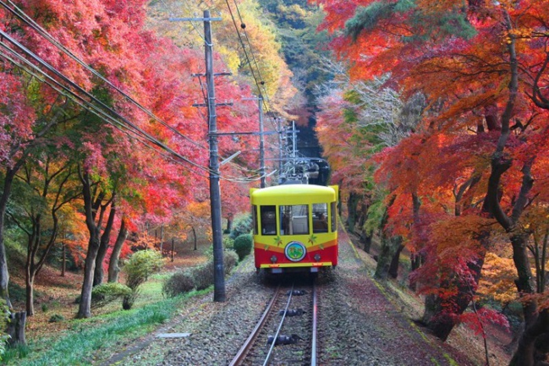 N&uacute;i Takao m&ugrave;a thu
